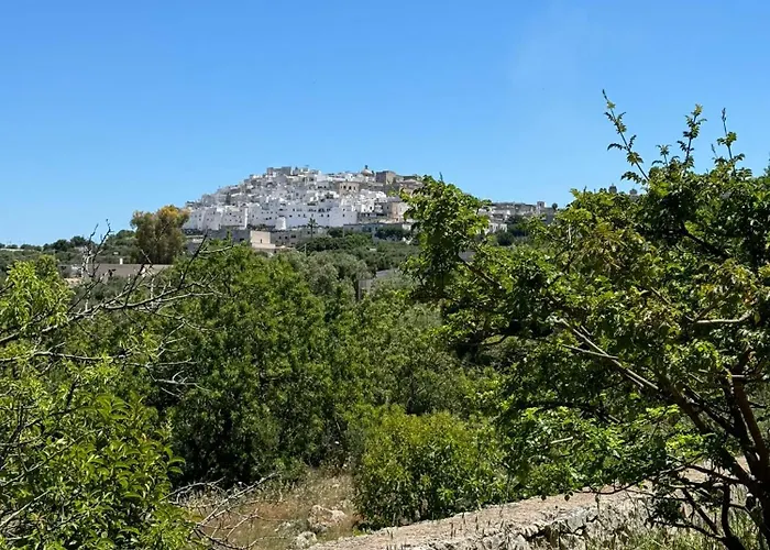 Bellavista 奥斯图尼